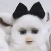 梁