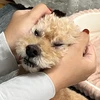 は