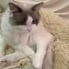 こうたろう