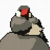 シノモト