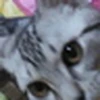 オレンジ