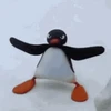 Y4