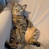 Senka