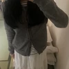 シーズー
