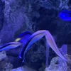 わわわ
