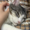 あっぷる
