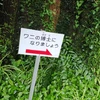ぜつみょー