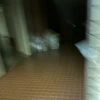 鈴木