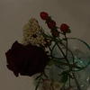 パ