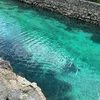 じぇにぽん