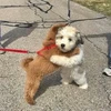 マーちゃん