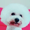 あんな