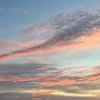 なおや