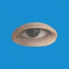 ニシオタクマ