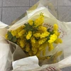 陽