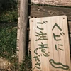 ぽるっく