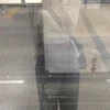 わたし