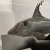 セリヌンティウス