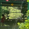 馬子