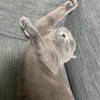ひ