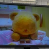 ホットアイスTV