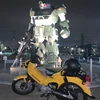 ゴーヤー