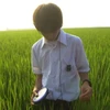 炙りしめ鯖