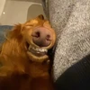 ハルくん
