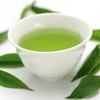 緑茶