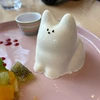 pokkalemon