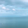 wp