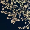 り