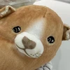 応挙犬