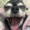 marochiii