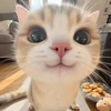 user8nHbcnUhhMZ