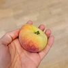 平たい桃