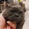 ゆっこ