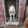 ゼロ