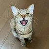 映画宣伝を学ぶ大学生の記録