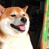 そっとしとい太郎