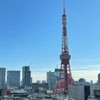 な