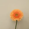 non