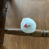 まっきー