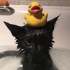 水落