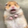 さそり