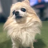misakofjt