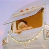 さねまつしおり
