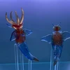 いつき