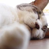 ひろゆき