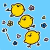 ひよこ